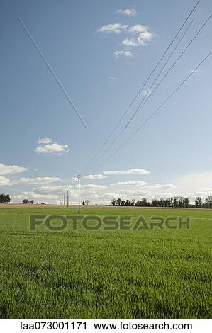Countryside, Guilliers, Brittany, France View Large Photo Image Stock Image - Countryside, Guilliers, Brittany, France. Fotosearch