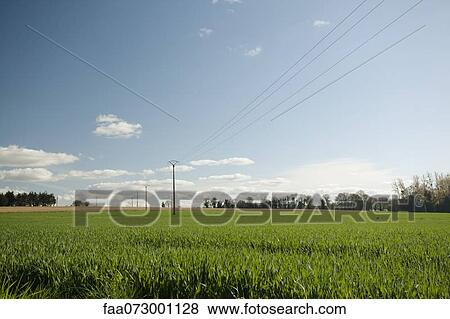 Countryside, Guilliers, Brittany, France View Large Photo Image Stock Photo - Countryside, Guilliers, Brittany, France. Fotosearch