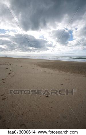 Picture - Deserted beach. Fotosearch
