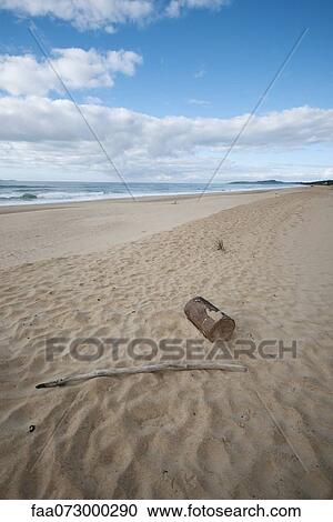 Driftwood on beach View Large Photo Image Stock Image - Driftwood on beach. Fotosearch