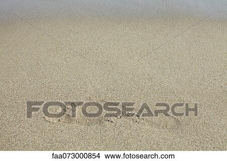 Picture - Footprint in sand. Fotosearch