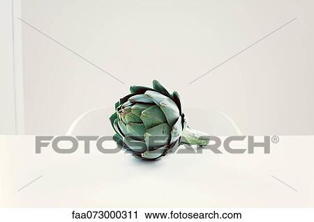 Fresh artichoke View Large Photo Image Stock Image - Fresh artichoke. Fotosearch