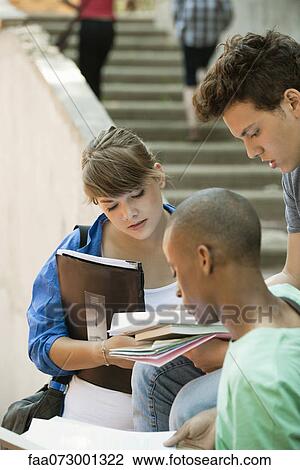 Stock Image - Friends studying together on campus. Fotosearch