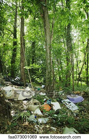 Garbage dumped in woods View Large Photo Image Stock Photo - Garbage dumped in woods. Fotosearch