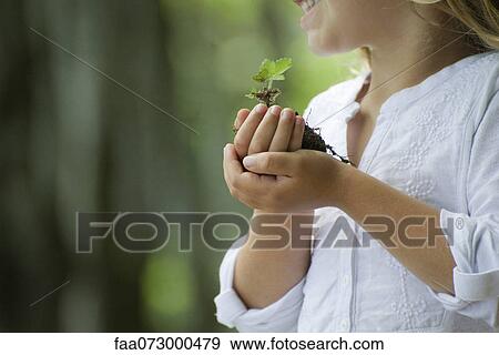 Stock Photo - Girl holding seedling, cropped. Fotosearch