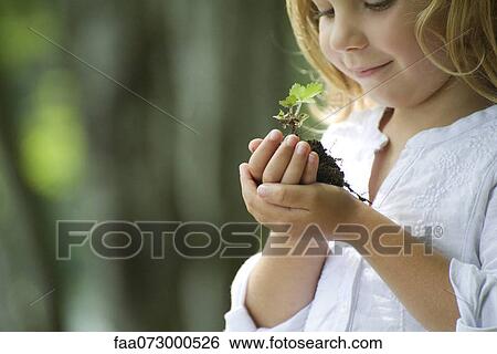 Girl holding seedling View Large Photo Image Stock Photograph - Girl holding seedling. Fotosearch