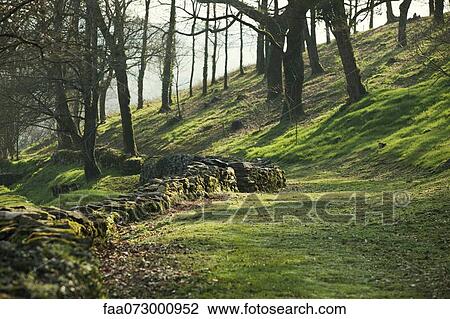 Old stone wall running through prairie, Poul-Fetan, Brittany, France View Large Photo Image Stock Image - Old stone wall running through prairie, Poul-Fetan, Brittany, France. Fotosearch