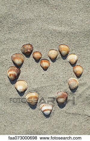 Stock Photo - Seashells arranged in heart shape on sand. Fotosearch