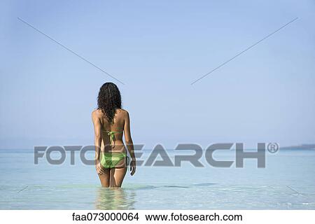 Woman in bikini walking in water, rear view View Large Photo Image Picture - Woman in bikini walking in water, rear view. Fotosearch