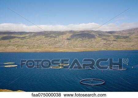 Aquafarm, Iceland View Large Photo Image Stock Photo - Aquafarm, Iceland. Fotosearch