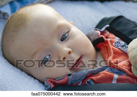 Baby boy lying down, portrait View Large Photo Image Stock Image - Baby boy lying down, portrait. Fotosearch