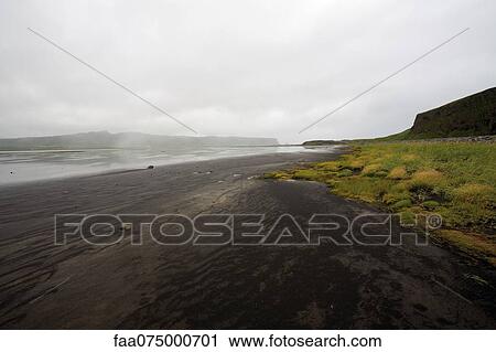 Black sand beach, Dyrhùlaey peninsula, Iceland View Large Photo Image Stock Image - Black sand beach, Dyrhùlaey peninsula, Iceland. Fotosearch