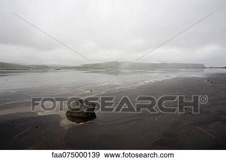 Black sand beach, Dyrhùlaey peninsula, Iceland View Large Photo Image Stock Photo - Black sand beach, Dyrhùlaey peninsula, Iceland. Fotosearch