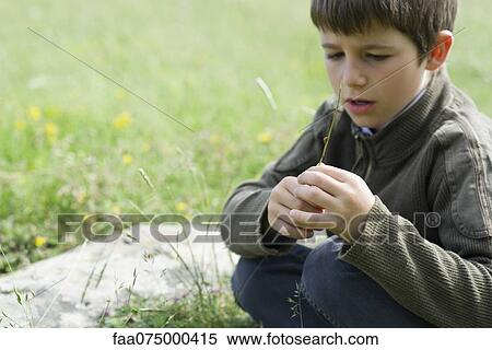 Boy in meadow View Large Photo Image Stock Photography - Boy in meadow. Fotosearch