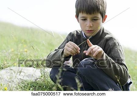 Boy looking at ladybug crawling on blade of grass View Large Photo Image Stock Photo - Boy looking at ladybug crawling on blade of grass. Fotosearch