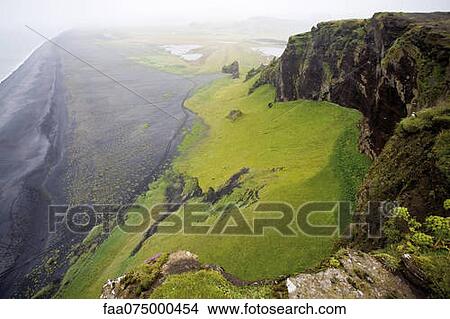 Cliffs overlooking black sand beach, Dyrhùlaey peninsula, Iceland View Large Photo Image Picture - Cliffs overlooking black sand beach, Dyrhùlaey peninsula, Iceland. Fotosearch