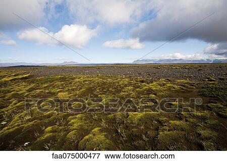 Countryside along Route 1 between Kirkjubaejarklaustur and Kalfafell, Iceland View Large Photo Image Stock Photo - Countryside along Route 1 between Kirkjubaejarklaustur and Kalfafell, Iceland. Fotosearch