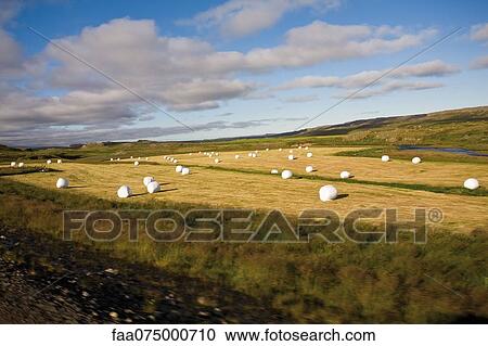 Countryside, Iceland View Large Photo Image Stock Image - Countryside, Iceland. Fotosearch