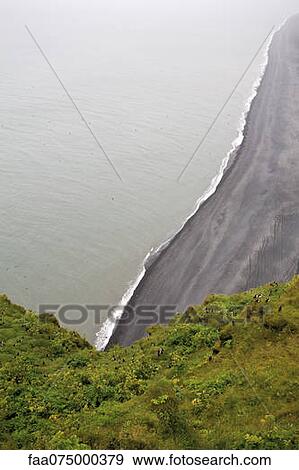Elevated view of black sand beach, Dyrhùlaey peninsula, Iceland View Large Photo Image Stock Photo - Elevated view of black sand beach, Dyrhùlaey peninsula, Iceland. Fotosearch