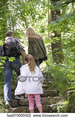 Stock Image - Family hiking in woods, rear view. Fotosearch