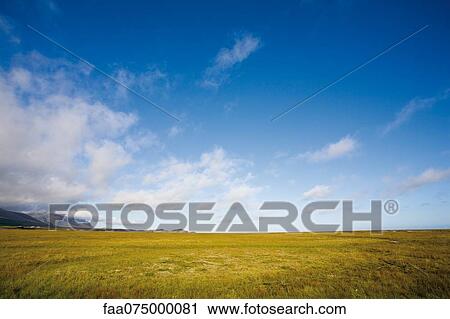 Flat countryside, Iceland View Large Photo Image Stock Image - Flat countryside, Iceland. Fotosearch