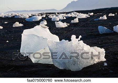 Large pieces of glacial ice washed up on beach, Jokulsarlon glacial lagoon, Iceland View Large Photo Image Stock Image - Large pieces of glacial ice washed up on beach, Jokulsarlon glacial lagoon, Iceland. Fotosearch