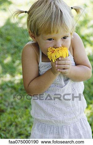 Little girl smelling fresh flower, portrait View Large Photo Image Stock Image - Little girl smelling fresh flower, portrait. Fotosearch