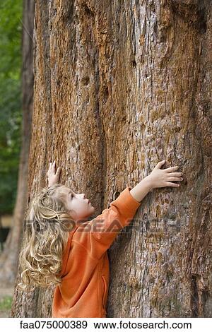 Little girl touching large tree trunk, looking up View Large Photo Image Stock Photo - Little girl touching large tree trunk, looking up. Fotosearch