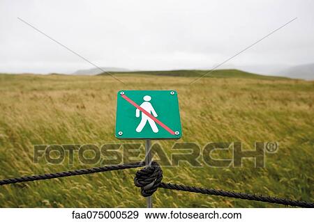 No walking sign posted for environmental protection in nature reserve, Dyrhùlaey peninsula, Iceland View Large Photo Image Stock Photo - No walking sign posted for environmental protection in nature reserve, Dyrhùlaey peninsula, Iceland. Fotosearch