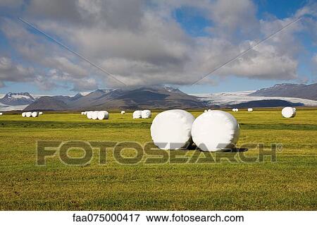Rural scene, Iceland View Large Photo Image Stock Photo - Rural scene, Iceland. Fotosearch