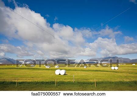 Stock Photo - Rural scene, Iceland. Fotosearch