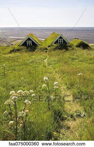 Traditional turf houses, Skaftafell National Park, Iceland View Large Photo Image Stock Image - Traditional turf houses, Skaftafell National Park, Iceland. Fotosearch