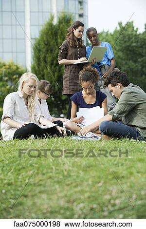 University students studying together on grass View Large Photo Image Stock Photo - University students studying together on grass. Fotosearch