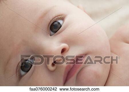 Baby boy, close-up portrait View Large Photo Image Stock Image - Baby boy, close-up portrait. Fotosearch