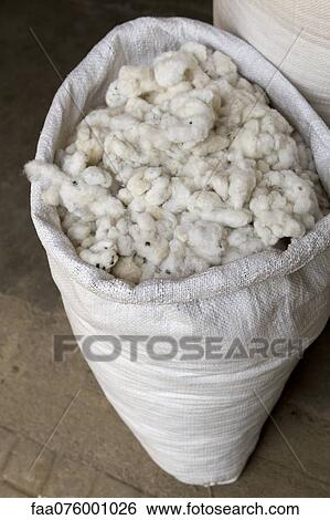 Bag of cotton View Large Photo Image Stock Photograph - Bag of cotton. Fotosearch