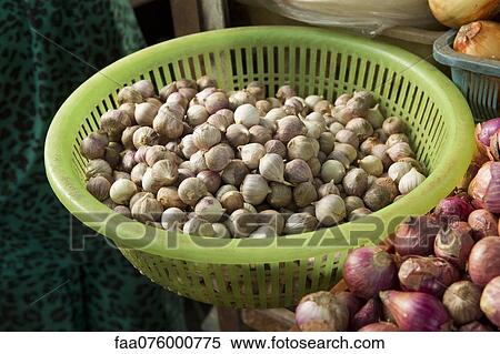 Stock Photography - Basket of shallots on market stall. Fotosearch