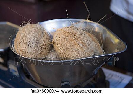 Picture - Coconuts in metal container. Fotosearch