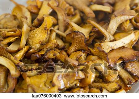 Cooked chanterelle View Large Photo Image Stock Image - Cooked chanterelle. Fotosearch