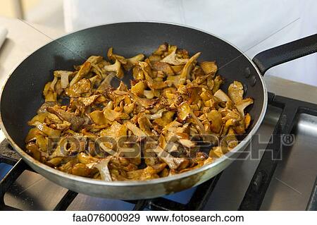 Stock Photo - Cooking chanterelle. Fotosearch