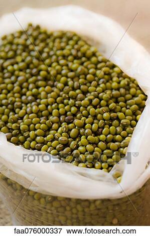 Dried mung beans View Large Photo Image Stock Photo - Dried mung beans. Fotosearch