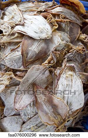 Stock Photograph - Dried squid. Fotosearch