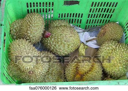 Stock Photograph - Durians in basket. Fotosearch
