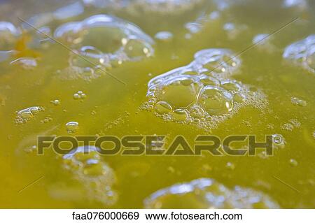 Stock Photo - Egg white, close-up. Fotosearch