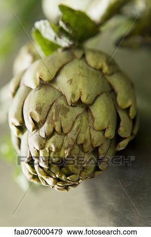 Stock Photo - Fresh artichoke. Fotosearch