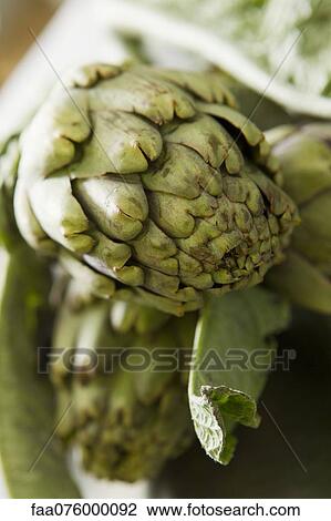 Stock Image - Fresh artichokes. Fotosearch
