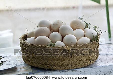 Picture - Fresh eggs in basket. Fotosearch