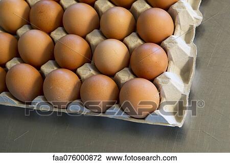 Fresh eggs in carton View Large Photo Image Stock Image - Fresh eggs in carton. Fotosearch