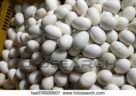 Fresh eggs View Large Photo Image Stock Photo - Fresh eggs. Fotosearch