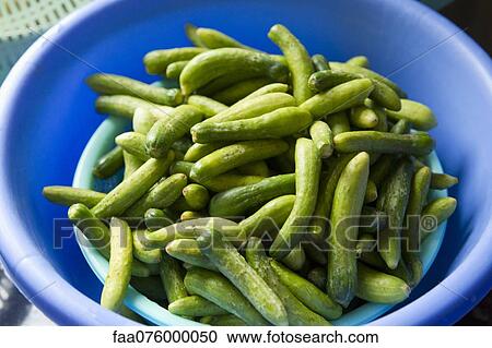 Gherkins View Large Photo Image Stock Image - Gherkins. Fotosearch