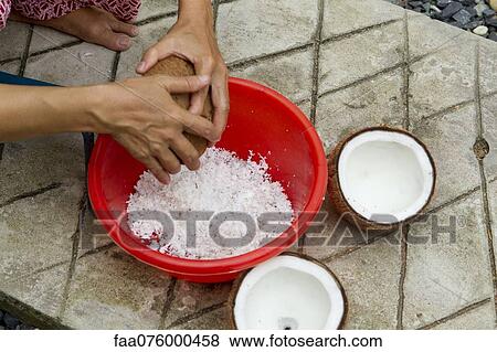 Grating fresh coconut View Large Photo Image Stock Photo - Grating fresh coconut. Fotosearch